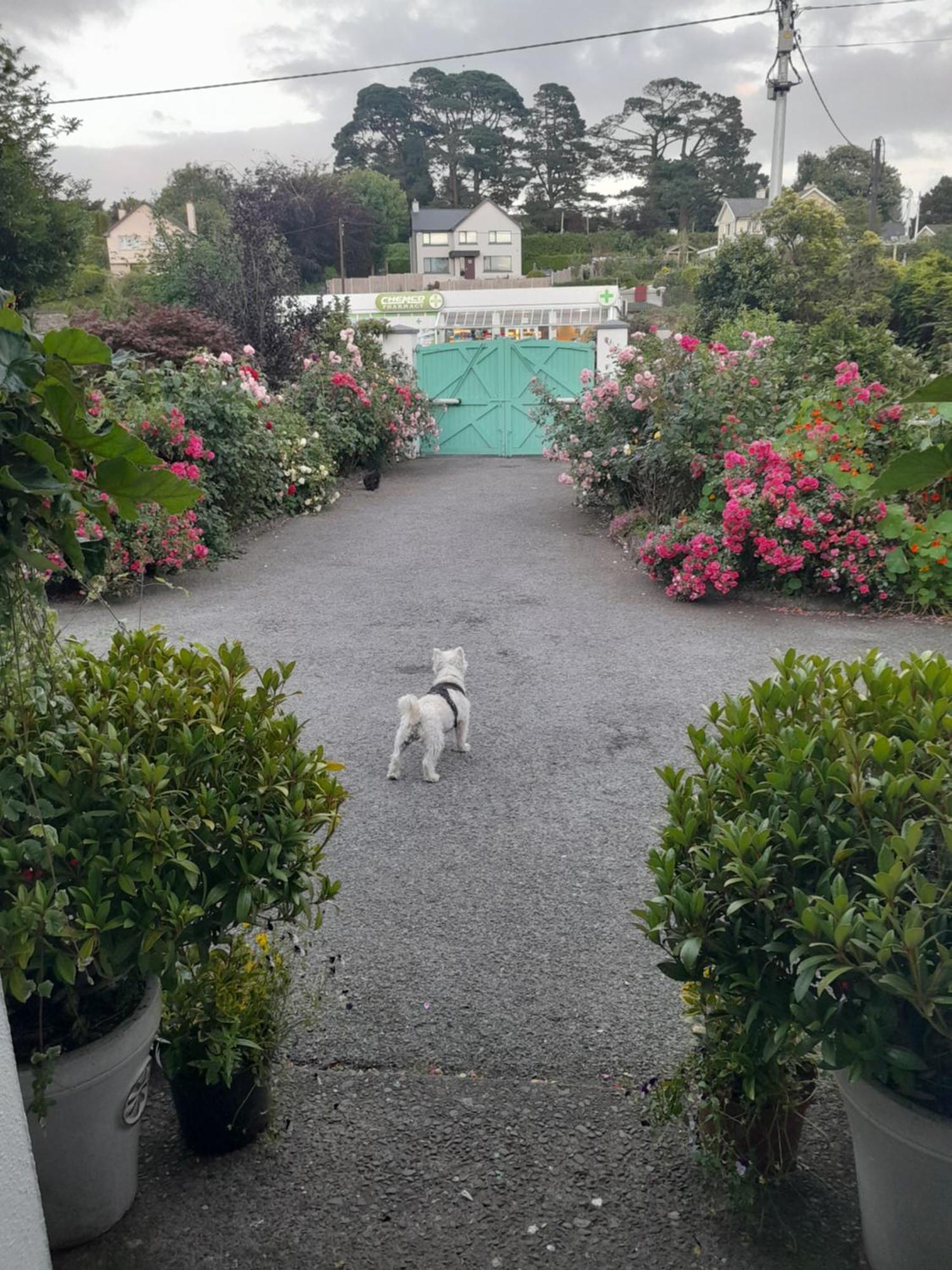 Saint Martin'S Bed And Breakfast Bandon Exterior foto