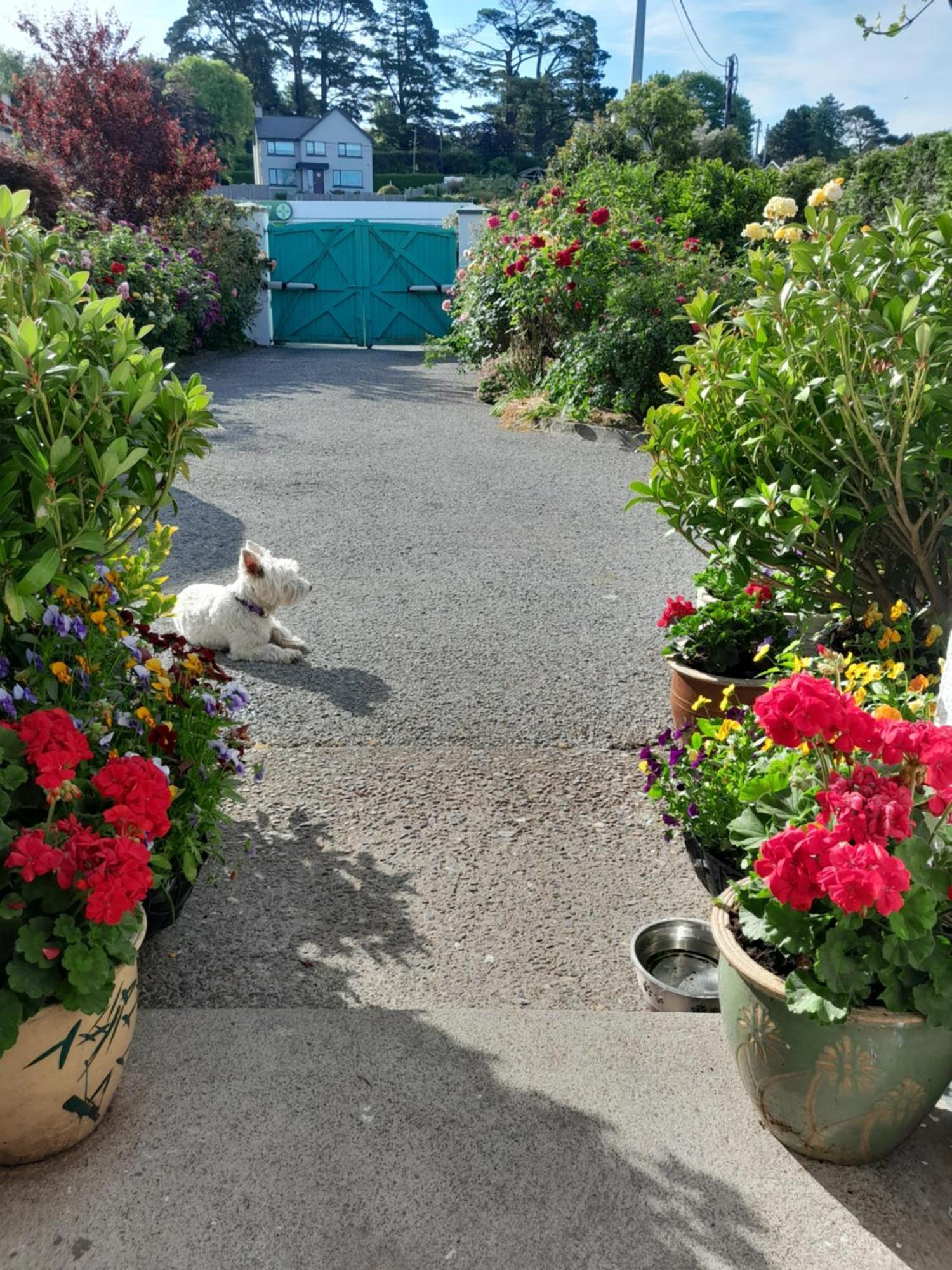 Saint Martin'S Bed And Breakfast Bandon Exterior foto