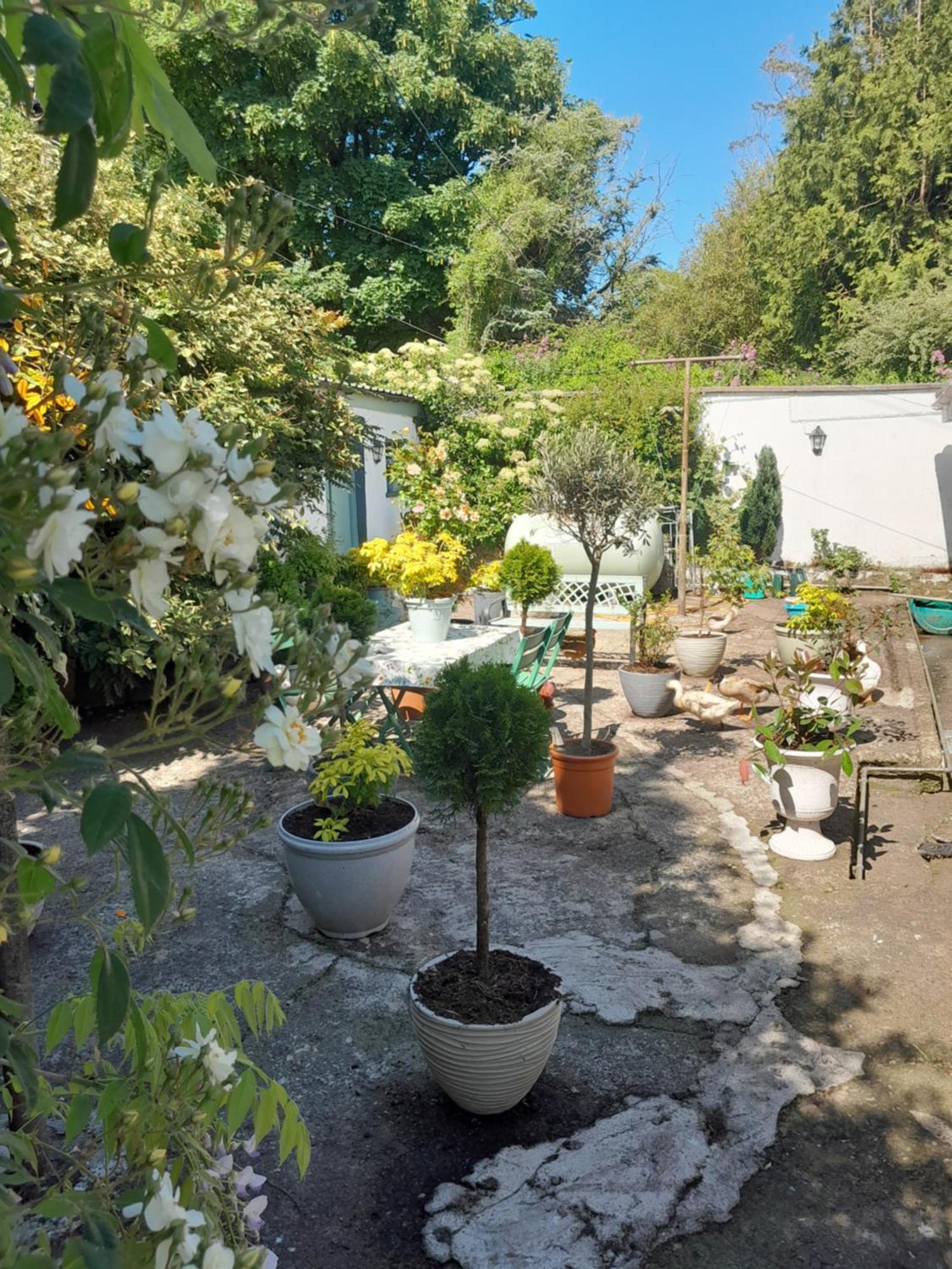 Saint Martin'S Bed And Breakfast Bandon Exterior foto